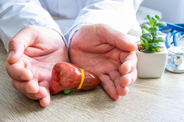A doctor cradling a miniature model liver in their hands, on a desk
