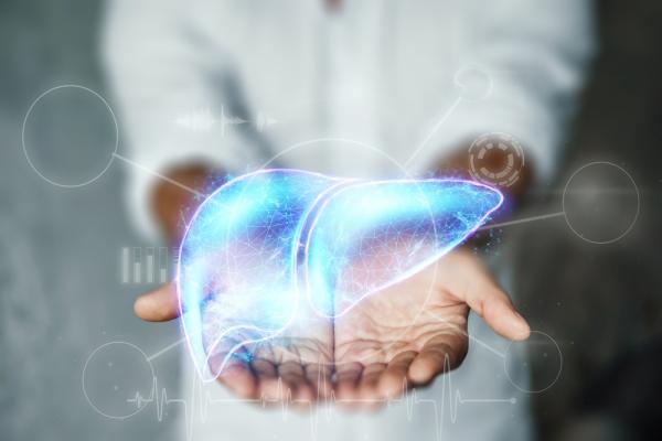 Imagery of a blue holographic liver atop hands held out