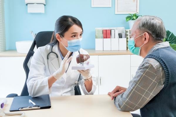 A doctor holding a model of a liver talking to an elderly patient