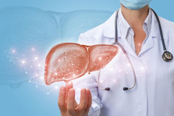 A sketch of a liver hovering in front of a doctor with a stethoscope