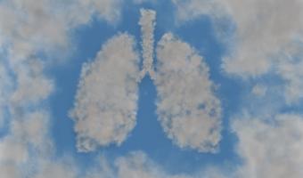 Lungs in the clouds
