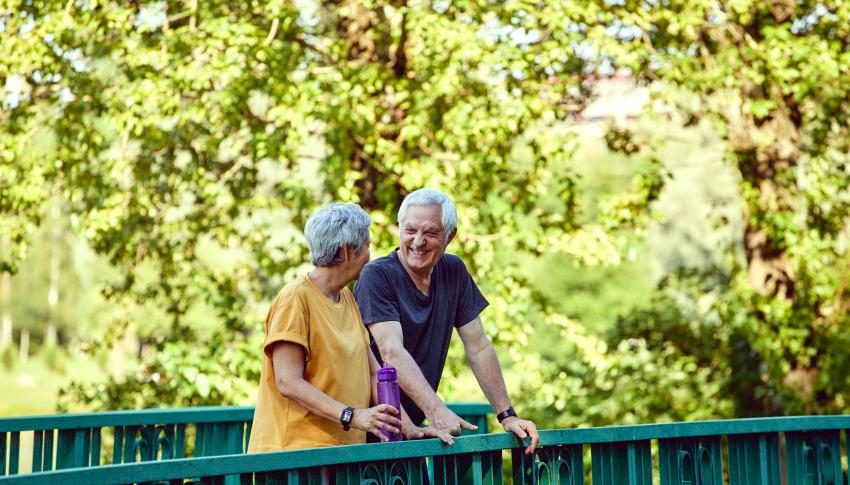 Older couple on a bridge in a park