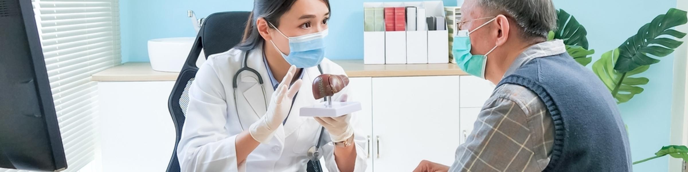 A doctor holding a model of a liver talking to an elderly patient