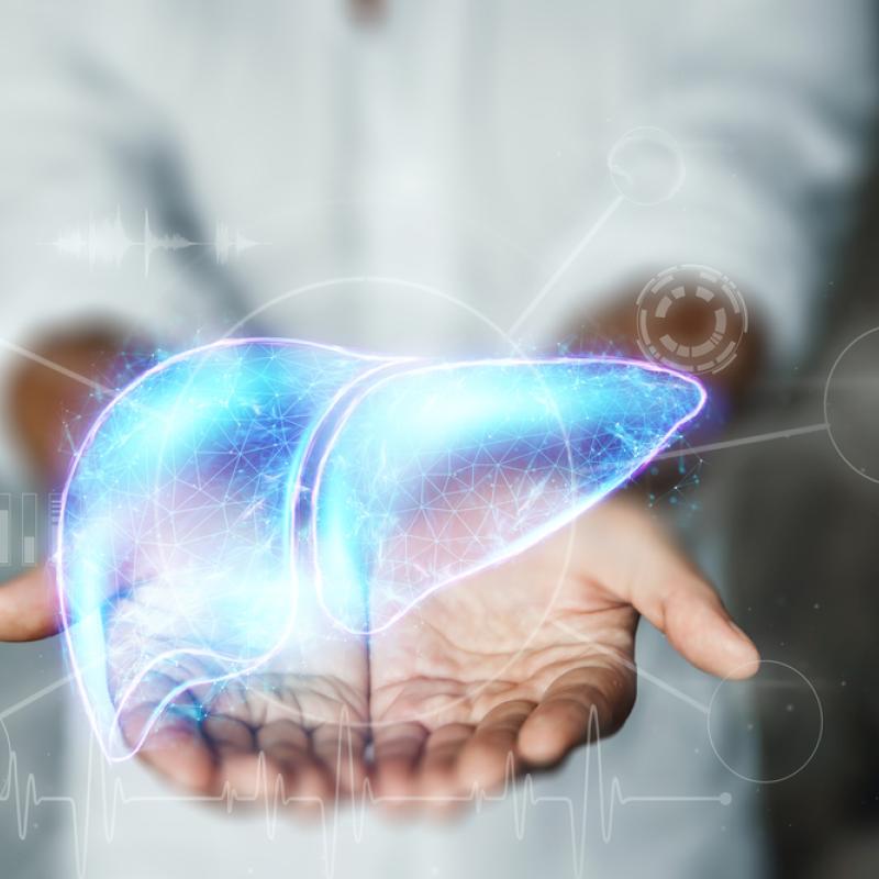Imagery of a blue holographic liver atop hands held out